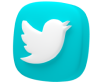 3d-twitter-logo-icon